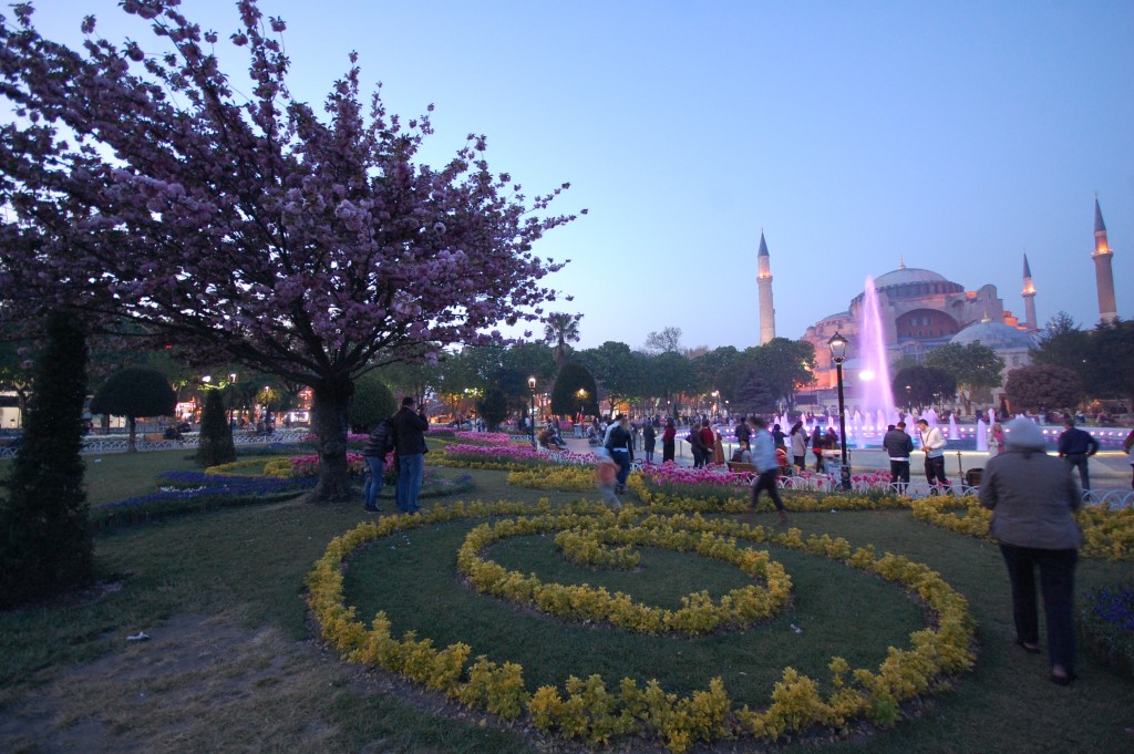 Стамбул, тюльпаны. ezdim.com/blog